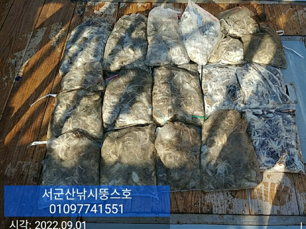 KakaoTalk_20220901_195309638.jpg