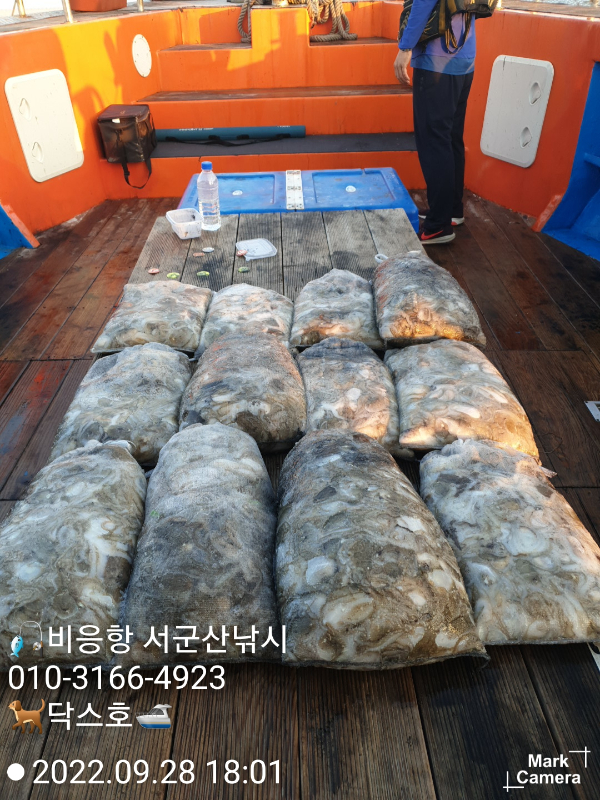 KakaoTalk_20220928_183426300_17.jpg