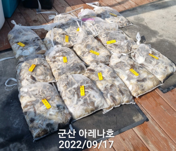 1663405055263-1.jpg