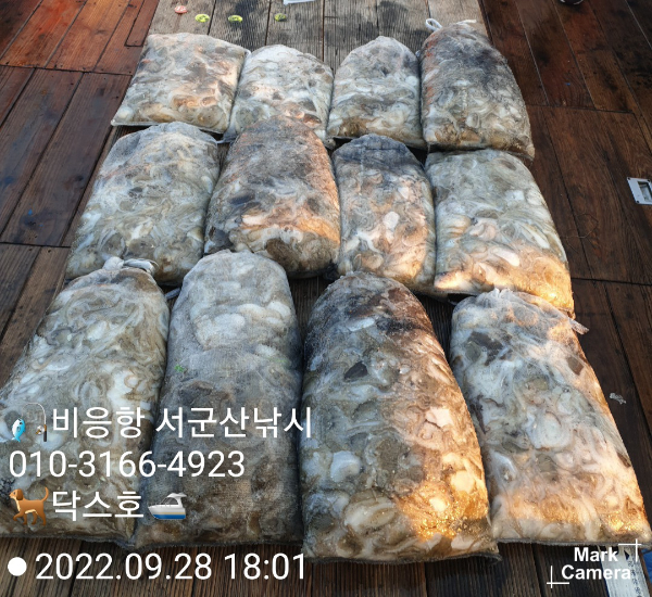 KakaoTalk_20220928_183426300_16.jpg