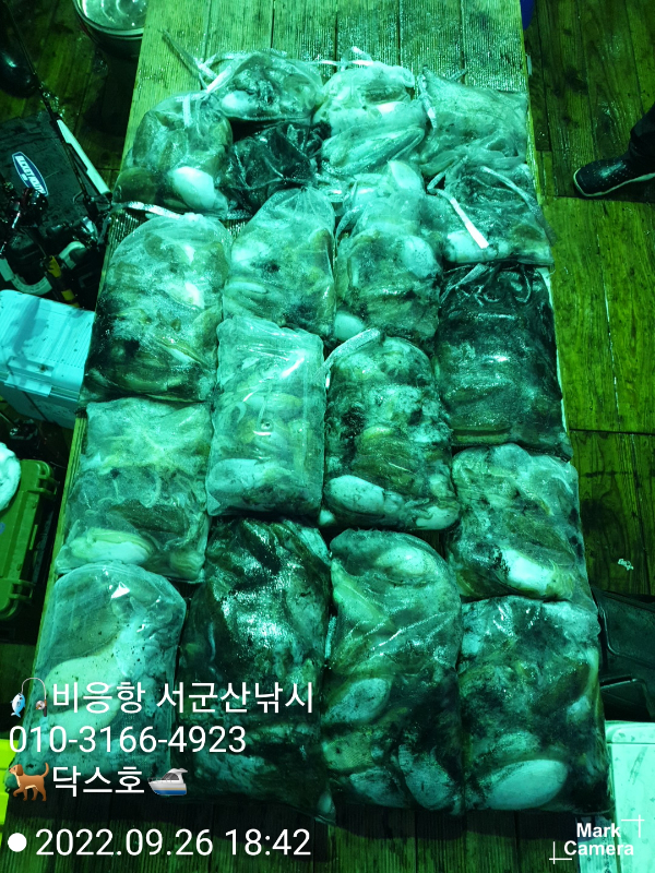 KakaoTalk_20220926_190359607_12.jpg