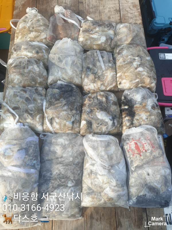 KakaoTalk_20220918_164058275_14.jpg