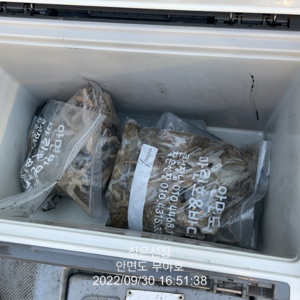 0A349C4A-EBEC-481F-B370-8AC3CC6DE254.jpeg
