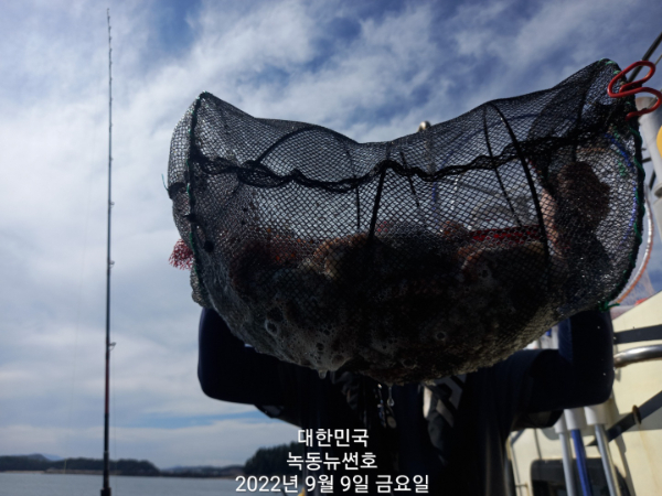 9c199a29361f83cfad53b1e80eabc344.jpg