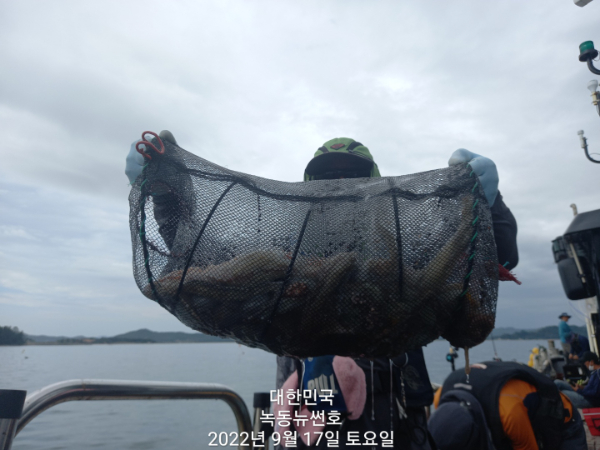 9cdbbbbfb4d061c62adbedf1c73acdb9.jpg