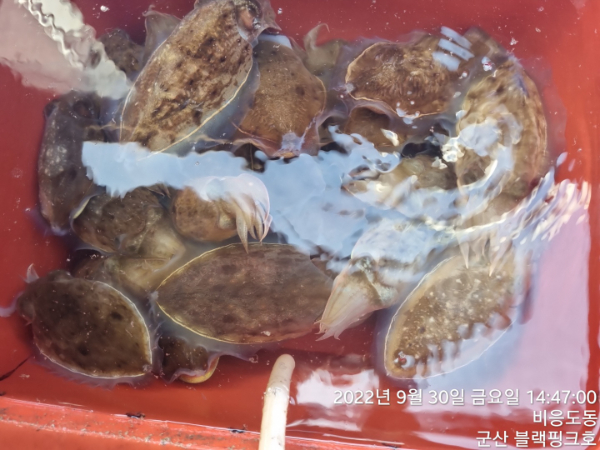 a769014961324cc4d197eaacc3c798c0.jpg