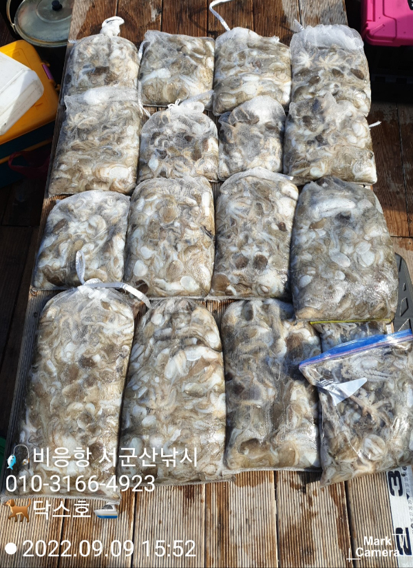 KakaoTalk_20220909_171721312_07.jpg