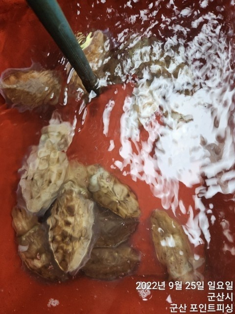 KakaoTalk_20220925_203846183_01.jpg
