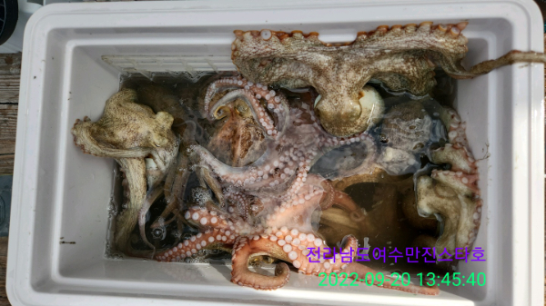 c59c227f7824fee4858aa0a5d7d29f29.jpg