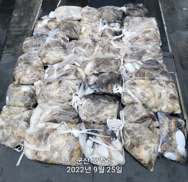 군산 강남호 선상낚시 밴드-강남호 조황사진-45046994607.jpg