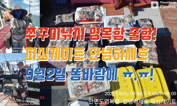 cdbf68aa33dd326663e0af3eec659f02.jpg