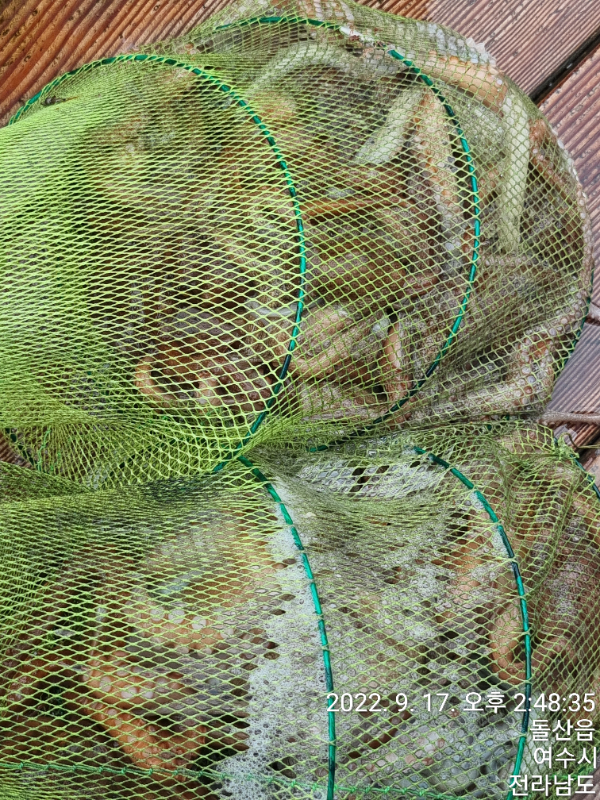 cfe8ef3fc8c346397c6899a1d01ac71e.jpg