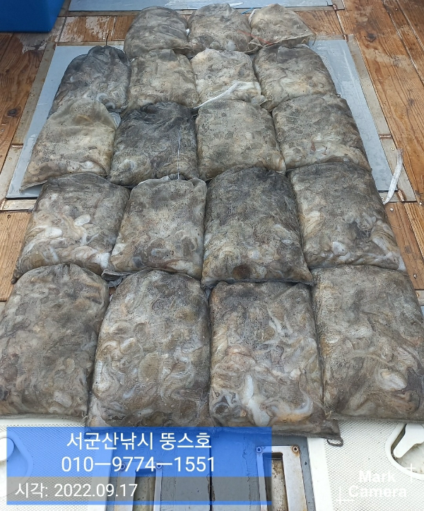 KakaoTalk_20220918_183051594.jpg
