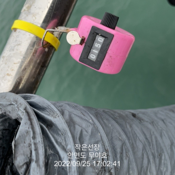 196699EB-D24B-4871-9698-741776482960.jpeg
