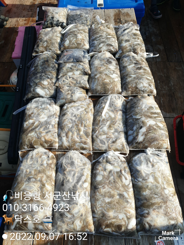 KakaoTalk_20220907_170148910_09.jpg