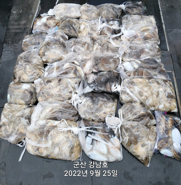 군산 강남호 선상낚시 밴드-강남호 조황사진-45046994606.jpg