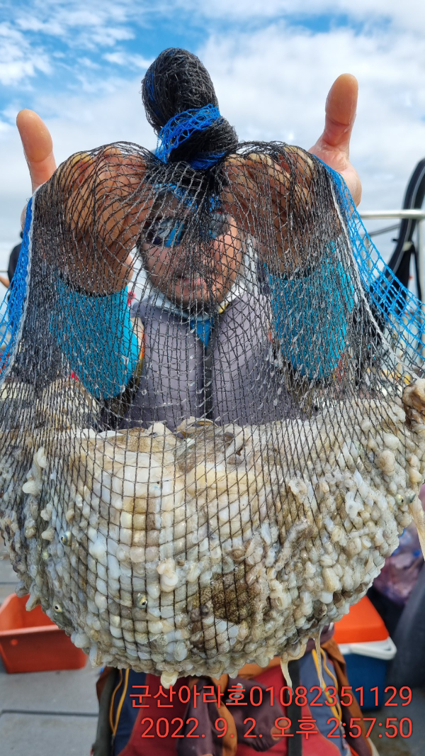 f043c3b5ffa23b299ca8b4e459f740f5.jpg