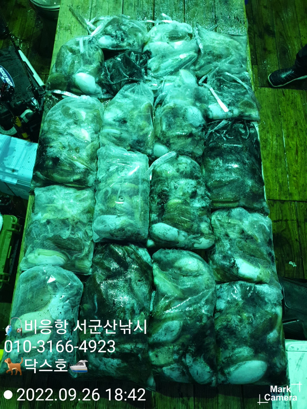 KakaoTalk_20220926_190359607_11.jpg