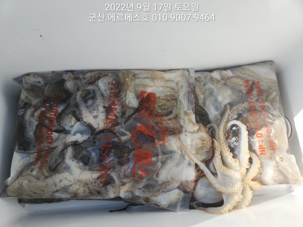 KakaoTalk_20220917_181446007_23.jpg