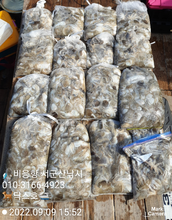 KakaoTalk_20220909_171721312_08.jpg