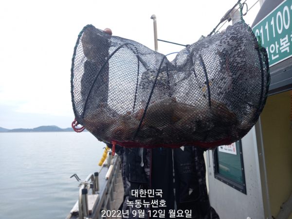 f7a205a6ade848d765cdbfb594dffa73.jpg
