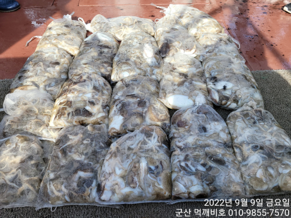 KakaoTalk_20220909_160934012_01.jpg