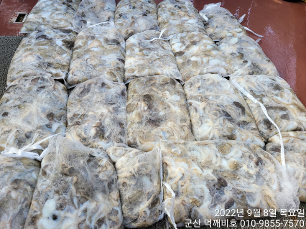 KakaoTalk_20220908_161323648_10.jpg