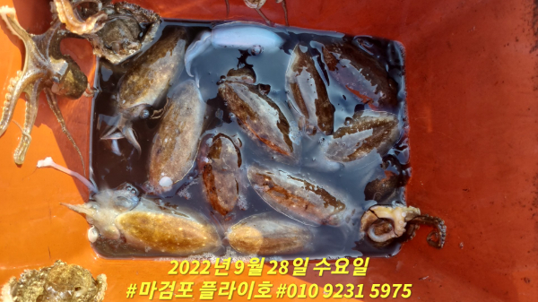 fda8e13bb89ec9dcf4f2c50edcd1cfdd.jpg