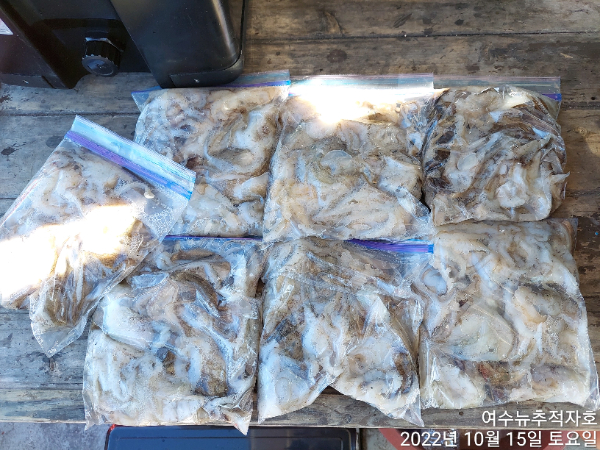 ㄷㅈ TimePhoto_20221015_153034.jpg