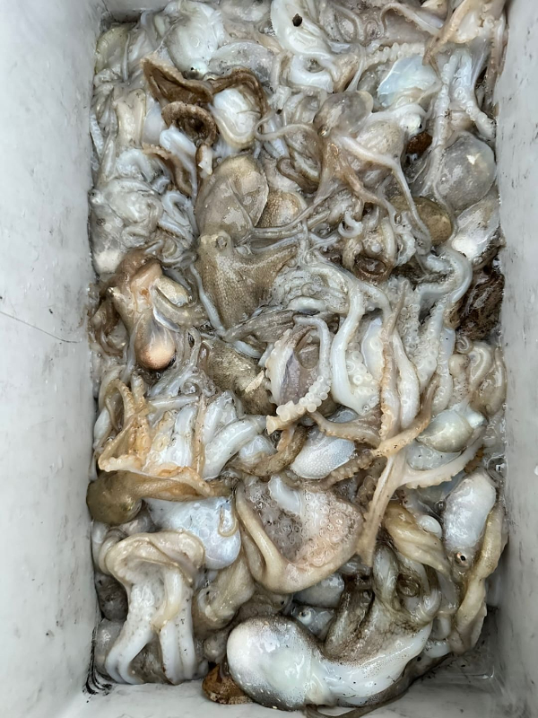 KakaoTalk_20221019_215044637_13 (1).jpg