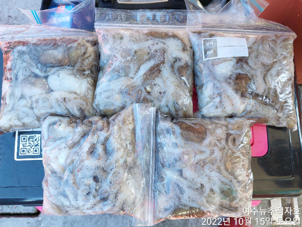 ㄷㅈ TimePhoto_20221015_153201.jpg