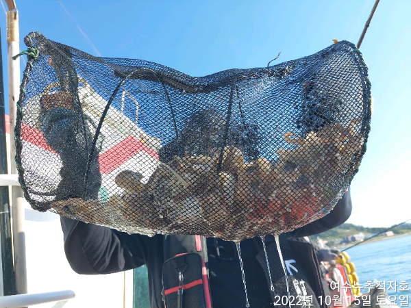 ㄷㅈ TimePhoto_20221015_152602.jpg