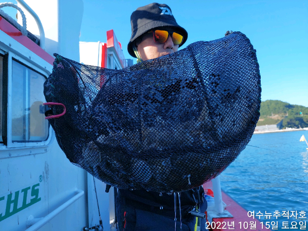 ㄷㅈ TimePhoto_20221015_153300.jpg