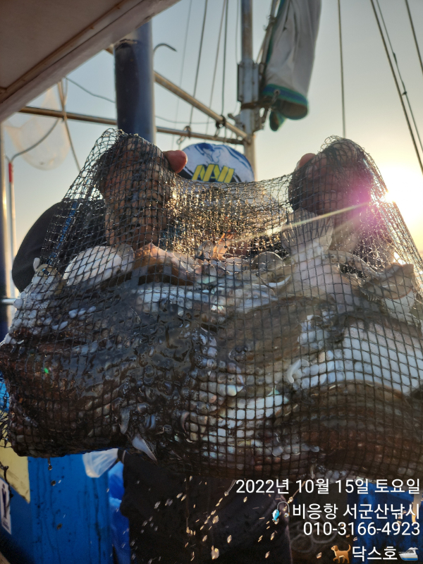 KakaoTalk_20221017_085457938.jpg