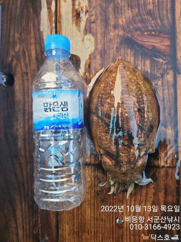 KakaoTalk_20221013_174610853_12.jpg