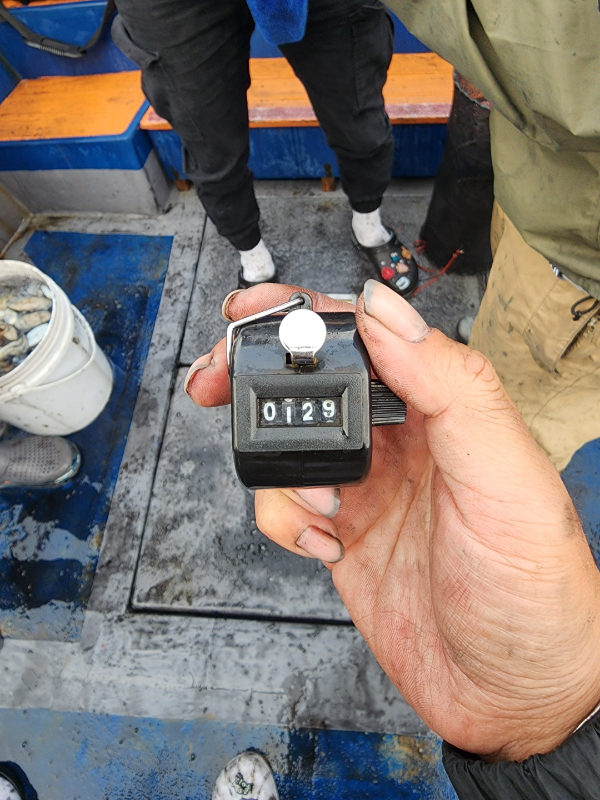 1664627070090-3.jpg