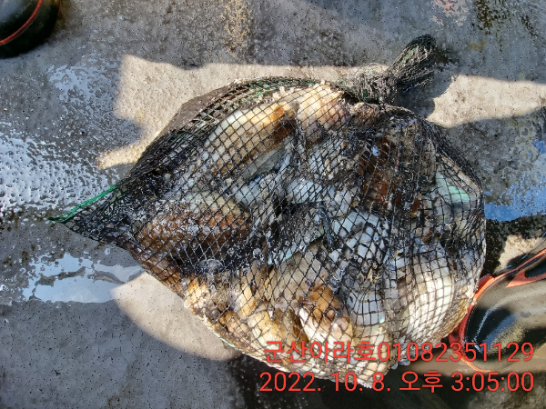 IMG_20221008_150500.jpg
