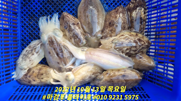 8b01cc7a06052ec5df529801874eddcd.jpg