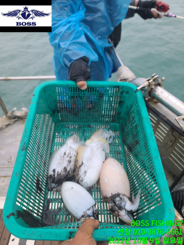 BandPhoto_2022_10_09_17_11_43 (1).jpg