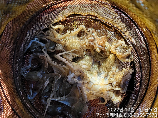 a8c6b2deb68f095a97be67f909787c33.jpg
