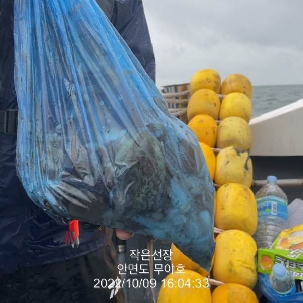 C2D48A39-26EB-4FF7-9E55-618C7930CC10.jpeg
