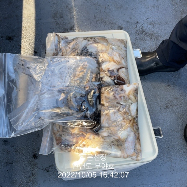7607875D-EDB0-404F-9297-285F29B69273.jpeg