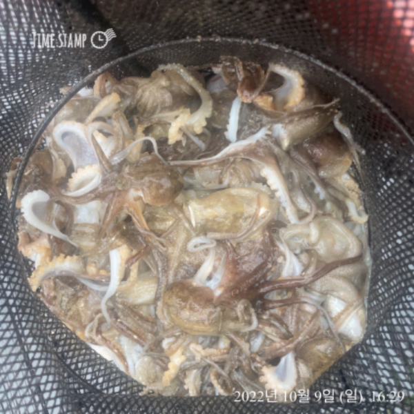 A1960A3E-AFBD-4226-89F5-B631A3E9B600.jpeg
