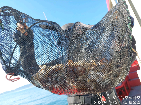 ㄷㅈ TimePhoto_20221015_152450.jpg