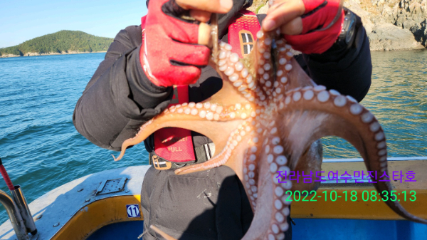 d5bf00735c7e732bb37da086c9213d4c.jpg