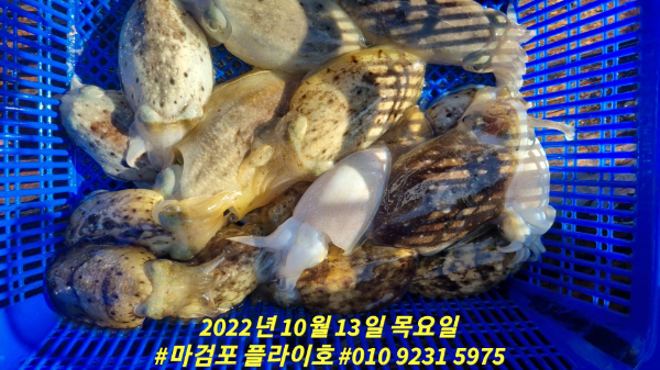 e2efcc5791fc27ddf5d6c4796a84dfd3.jpg