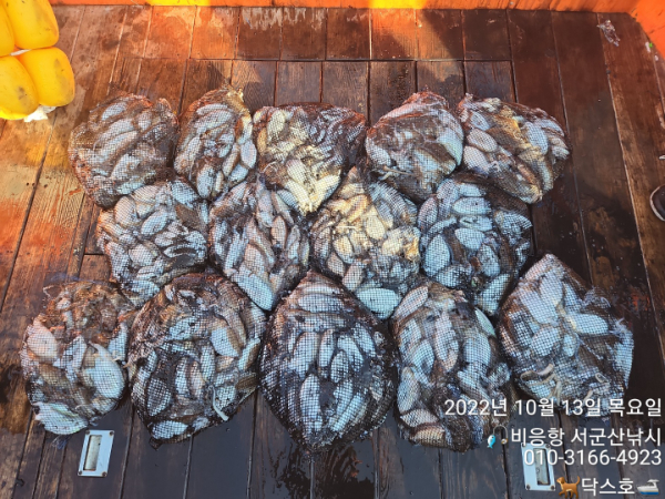 KakaoTalk_20221013_174610853_20.jpg