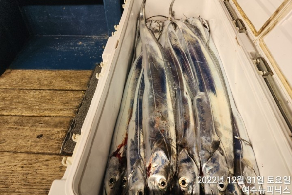 12월31일갈치 (15).jpg