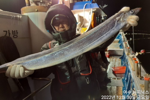 12월31일갈치 (28).jpg