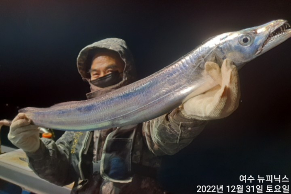 12월31일갈치 (6).jpg